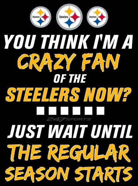 Pittsburgh Steelers Man Cave, Steelers Images, Pittsburgh Steelers Quotes, Pittsburgh Steelers Funny, Pittsburgh Steelers Wallpaper, Steelers Pics, Steelers Women, Pittsburgh Pride, Steelers Baby