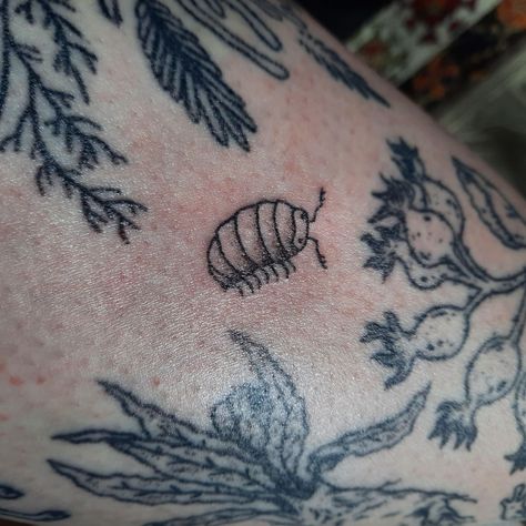 Unique Bug Tattoo, Bug Stick And Poke, Pillbug Tattoo, Bug Sleeve Tattoo, Stink Bug Tattoo, Simple Bug Tattoo, Small Bug Tattoo, Small Grunge Tattoos, Isopod Tattoo