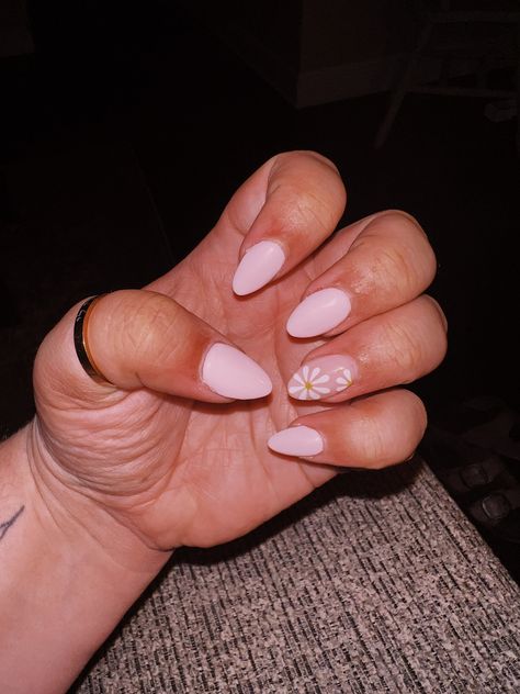 Summer nail inspiration with almond shaped nails. Daisies / flowers. Light pink. #nails #nailart #nailinspiration #nailinspo💅🏻 #summernails #pinknails #almondnails Baby Pink Nails With Flowers, Light Pink Nails With Flowers, Nails Daisies, Pink Nails With Flowers, Summer Nail Inspiration, Nails With Flowers, Almond Shaped Nails, Baby Pink Nails, Light Pink Nails