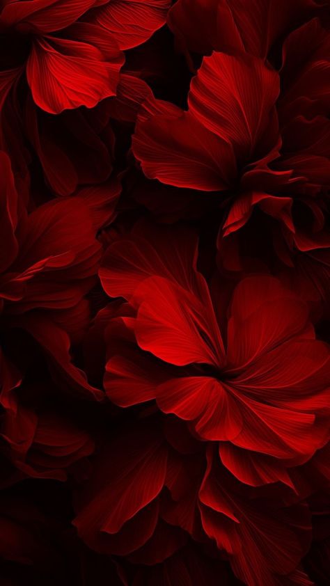 Red Flowers Background, Red Aesthetic Background, Red Flowers Wallpaper, Red Wallpaper Iphone, Red Flower Wallpaper, Maroon Background, Dark Red Background, Iphone Wallpaper Lights, Dark Red Wallpaper