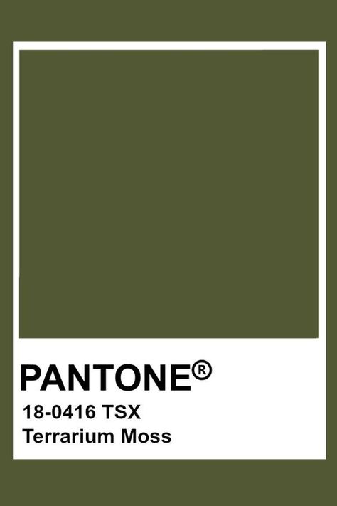 Moss Green Pantone, Green Pantone Colors, Green Colour Pantone, Pantone Colors Brown, Pantone Olive Green, Moss Green Color Palette, Pantone Green Colors, Pantone Cafe, Pantone Green Shades