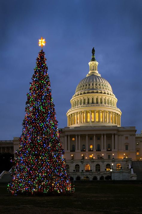 Washington Dc Christmas, Dc Christmas, White House Christmas, I Am Waiting, Have A Happy Holiday, Wish You Merry Christmas, American States, New England States, Wallpaper Christmas