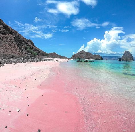 Bahamas Pink Sand Beach, Pink Sand Beach Bermuda, Widgets Summer, Fairytale Locations, Pink Sand Beach Bahamas, Pantai Pink, Horseshoe Bay Bermuda, Widgets Ipad, Traveling Goals