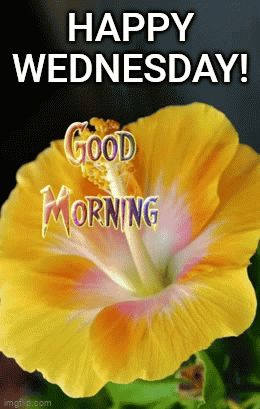 Wednesday Morning GIF – Wednesday morning – discover and share GIFs Wednesday Gif Mornings, Gif Happy Wednesday, Good Morning Happy Wednesday Gif, Good Morning Wednesday Gif, Happy Wednesday Gif, Happy Wednesday Good Morning, Wednesday Gif, Happy Wednesday Morning, Wednesday Morning Images