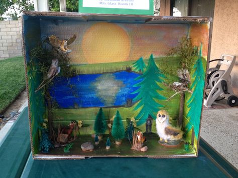 Fox Habitat, Owl Habitat, Diorama Kids, Owl School, Habitats Projects, Diy Owl, Craft Work For Kids, Holiday Party Kids, Activities For Girls