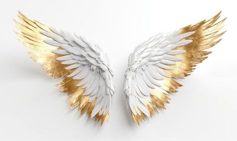 White And Gold Angel Wings, White Wing, Church Images, Wing Tattoo, Gold Angel Wings, Iphone Background Images, Dslr Background Images, White Wings, 3d Artwork