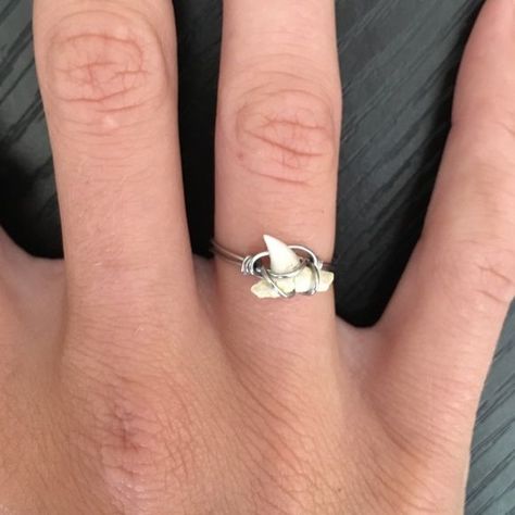 Wire Wrapped Jewelry Rings, Shark Tooth Ring, Shark Teeth Jewelry, Sharks Tooth, Tooth Jewelry, Sharks Teeth, Tooth Ring, Diy Teething, Shark Tooth Necklace