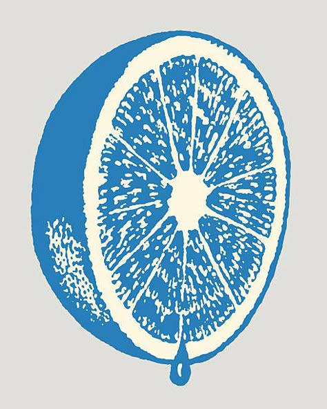 Grapefruit Illustration, Body Doodles, Fruit Sketch, Fruit Artwork, Happy Doodles, Fruit Names, Fruit Box, Pickle Ball, Vector Hand