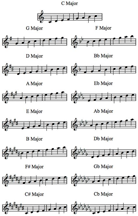 Music Basics, Music Theory Piano, Beginner Piano Music, Piano Scales, Learn Music Theory, Music Theory Lessons, Read Music, Piano Music Lessons, Music Theory Guitar