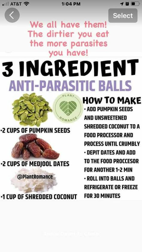 Anti Parasite Diet, Parasite Cleanse Smoothie, Best Parasite Cleanse, Parasite Cleanse Tincture Recipe, At Home Parasite Cleanse, What To Eat While Doing A Parasite Cleanse, Antifungal Foods, Best Parasite Cleanse Products, All Natural Parasite Cleanse