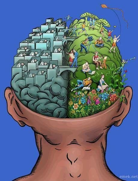 Em cima do muro Narcissistic Victim Syndrome, Bystander Effect, Coercive Control, Psychological Effects, Cognitive Dissonance, Social Art, Surprising Facts, Mind Control, Anti Social