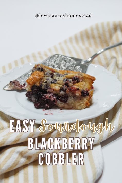 Quick and Easy Sourdough Blackberry Cobbler - Sourdough Blackberry, Blackberries Recipes, Easy Blackberry Cobbler, Blackberry Cobbler Recipe, Easiest Dessert, Blackberry Cobbler, Scrumptious Food, Easy Sourdough, Drink Inspiration