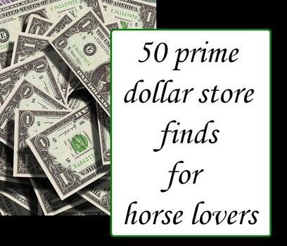 Equestrians and horsey gift shoppers can save plenty on gifts and supplies by picking up plenty of practical items at dollar stores and discount centers. Dollar Store Gifts, Dollar Store Finds, Horse Care Tips, Horse Info, Equestrian Helmet, Dollar Store Hacks, Dollar Store Christmas, Horse Tips, Horse Grooming