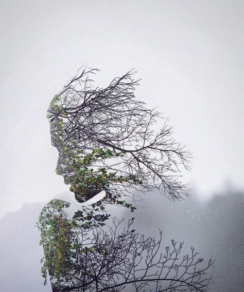 Double Exposure Nature, Tree Silhouette Tattoo, Bonsai Tree Tattoos, Double Exposure Art, Scene Tattoo, Majestic Tree, Tree Tattoos, Pine Tree Tattoo, Art Galleries Design