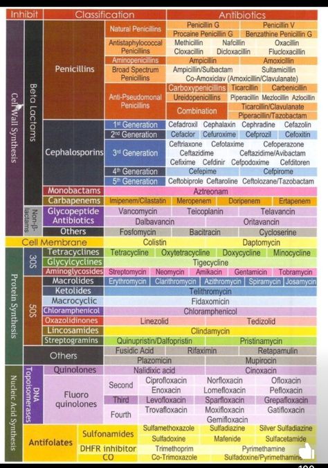 Hospital Medicine, Medical School Studying, Cell Wall, Medical School, Medicine, Medical