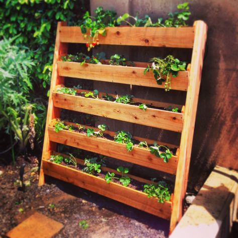 I built this vertical strawberry garden out of cedar fence pickets. Almost doubled my garden space. Vertical Pallet Garden, Wood Pallet Planters, Herb Garden Pallet, Strawberry Planters, Backyard Garden Layout, Vertical Vegetable Garden, Backyard Garden Landscape, Vertical Herb Garden, Strawberry Garden