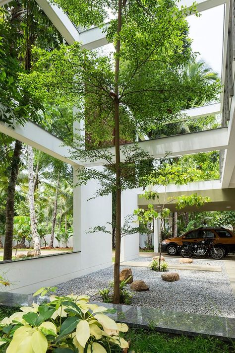 LIJO RENY regimented house#garden #contemporary#gardenideas Board House, Indoor Courtyard, Courtyard Design, Internal Courtyard, Concrete House, Patio Interior, Courtyard House, Tropical Houses, Interior Garden