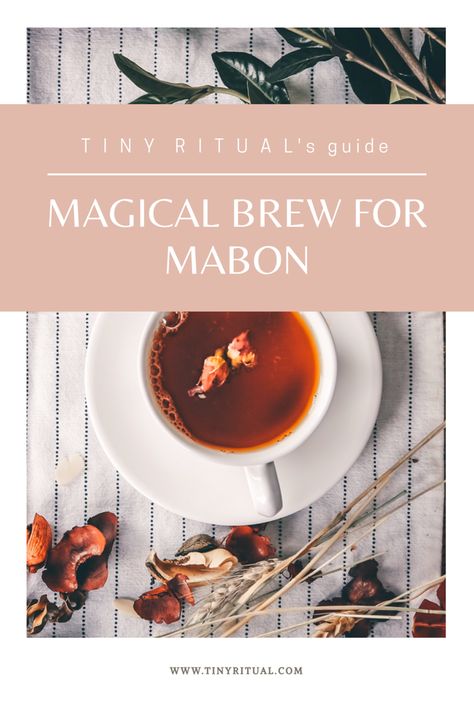 Equinox Ritual Fall, Fall Equinox Spells, Mabon For Kids, Mabon Celebration Food, Mabon Magic, Fall Equinox Rituals, Fall Equinox Celebration, Witchy Dinner, Mabon Ideas