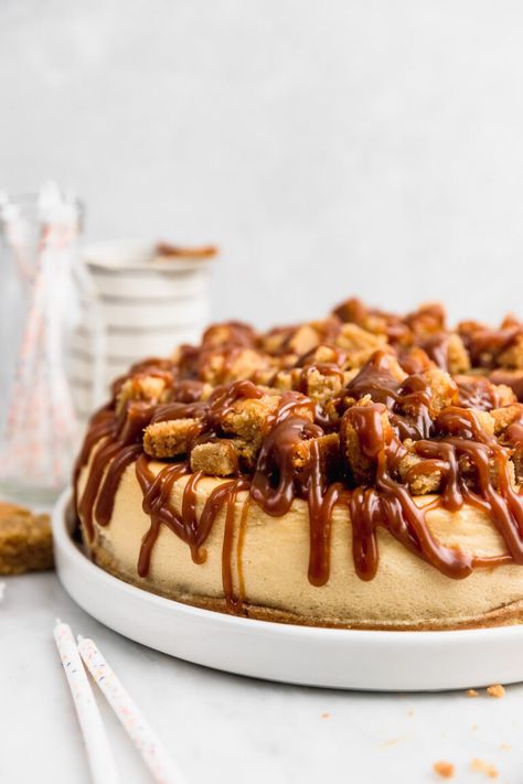 Brown Butter Cheesecake, Blondie Cheesecake, Vanilla Cheesecake Recipes, Cake 5, Vanilla Cheesecake, Salted Caramel Sauce, Cheesecake Filling, Springform Pan, Caramel Flavoring