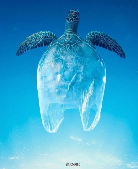 Environmental Art Projects, Justin Peters, Plastic In The Sea, Save The Sea Turtles, Portable Water Filter, Marine Pollution, Human Figure Sketches, Ocean Pollution, Air Asia