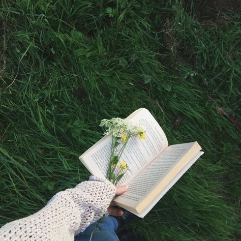 Aesthetic Vibes, A Book, Reading, Books, Flowers