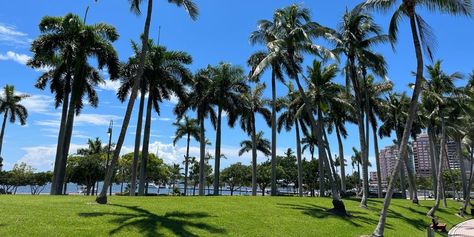 12 Fabulous and Fun Things to Do in West Palm Beach, Florida Downtown West Palm Beach, West Palm Beach Florida, Juno Beach, Royal Park, Row Boats, Palm Beach Florida, Palm Beach County, Old Florida, Sunshine State