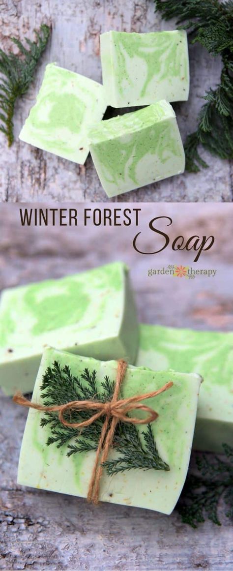 DIY Soap Recipes - Fresh and Woodsy Winter Forest Soap - Melt and Pour, Homemade Recipe Without Lye - Natural Soap crafts for Kids - Shea Butter, Essential Oils, Easy Ides With 3 Ingredients - soap recipes with step by step tutorials #soap #diygifts Cedarwood Soap, Savon Diy, Diy Soap Recipe, Soap Tutorial, Soap Making Recipes, Soap Craft, Soap Recipe, Homemade Soap Recipes, Homemade Bath Products