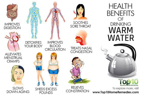 Benefits Of Drinking Warm Water, Warm Water In The Morning, Warm Water Benefits, Exercise Games, Water Health Benefits, Detox Waters, Top 10 Home Remedies, Drinking Hot Water, Water In The Morning