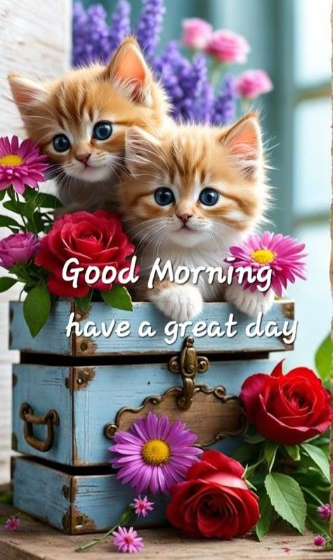 Sweet Good Night, Sweet Good Night Messages, Morning My Love, Good Morning Animals, Good Morning Cat, Good Morning Hug, Beautiful Good Night Quotes, Good Morning Greeting Cards, Morning Cat