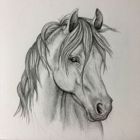 Horse Face Drawing, Sketch Horse, Horse Pencil Drawing, Horse Head Drawing, Brother And Sister Tattoo Ideas, Snow Tattoo, Sister Tattoo Ideas, Drawing Horse, Horse Art Drawing