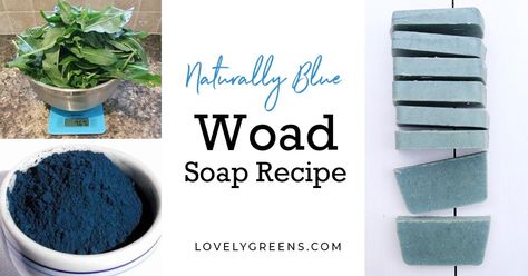 Use this woad soap recipe to make natural blue soap with specks of darker blue throughout. Woad is a traditional dye plant used to create stunning blue fabric, wool, and wood. You can grow it yourself or buy the powder to make blue soap. Natural Soap Colorants, Lovely Greens, Blue Soap, Cold Process Soap Recipes, Soap Colorants, Liquid Oil, Soap Recipe, Rapeseed Oil, Soap Recipes