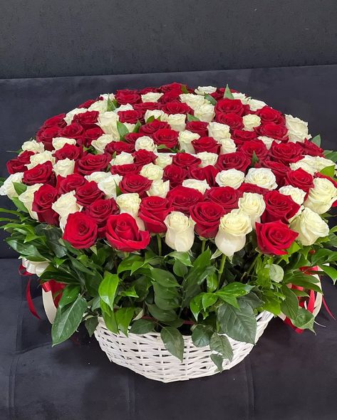 ⬇️⬇️⬇️ 151 Flowers FOR ORDERS👇🏼 ☎️ 054 4711703 ☑️100% fresh flowers delivery ☑️Same day delivery flower delivery ☑️Online payment & tabby ☑️Free message card ☑️Picture before delivery #FlowerDeliveryDubai #DubaiFlowers #FlowersDubai #DubaiFlorist #DubaiGifts #FlowerShopDubai #FlowerBouquetDubai #SameDayDeliveryDubai #OnlineFlowerDeliveryDubai #SendFlowersDubai #FlowerArrangementDubai #FreshFlowersDubai #FloralDesignDubai #OccasionFlowersDubai #LuxuryFlowersDubai #WeddingFlower... Online Flower Delivery, Flowers Delivery, Fresh Flower Delivery, Same Day Flower Delivery, Luxury Flowers, Send Flowers, Flower Delivery, Message Card, Fresh Flowers