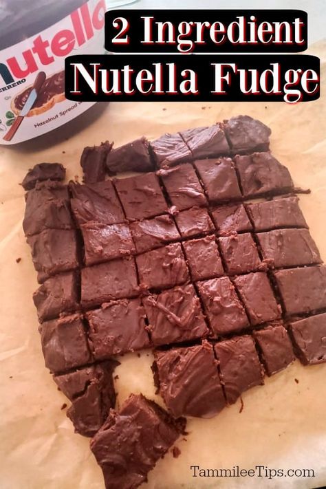 Nutella Desserts Easy, No Bake Fudge, Chocolate Chip Cookie Dough Bites, 2 Ingredient Desserts, 2 Ingredient Fudge, Nutella Banana Bread, Nutella Recipes Easy, Quick Cookies Recipes, Nutella Fudge