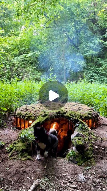 HAKAN KARAHAN on Instagram: "UNDERGROUND HOUSE 🛖🔥🐶 Building BUSHCRAFT Survival Shelter & Fireplace Cooking 
.
Which country are you following me from? please write 🐶🙏
.
.
YouTube Channel▶️
Bushcraft Hakan Karahan 
.
.
.
#bushcraftcamp #bushcraft #survival #camping #craft #outdoor #cooking #offgrid #shelter #survivalshelter #asmr #kamp #doğa #youtube #bushcrafthakankarahan #orman #cabin #rain #underground #dugout #viking" Off Grid Shelter, Camping Craft, Fireplace Cooking, Viking Camp, Underground House, Bushcraft Shelter, Sauna House, Outdoor Shelters, Underground Homes