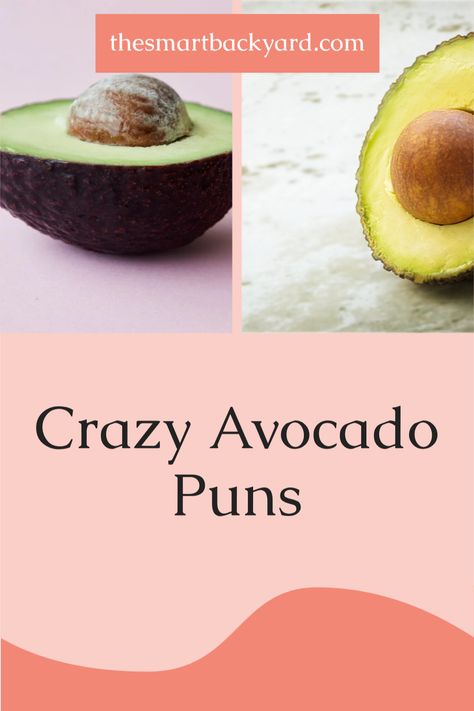 A list of the best #avocado #puns for #kids. Avocado Captions Instagram, Avocado Captions, Pun Captions, Avocado Quotes, Pun Intended Captions, Avocado Quote, Apple Puns, Funny Avocado Quotes, Avocado Puns Funny