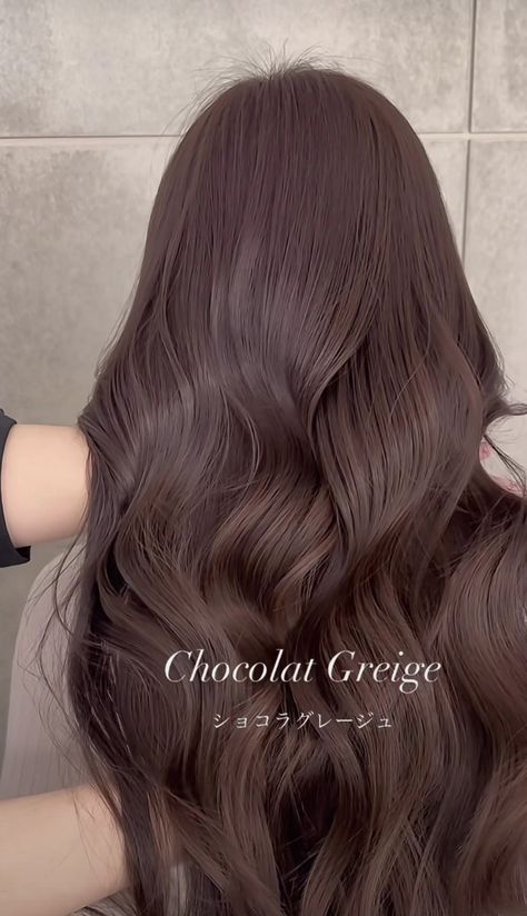 Dark Brown Hair Ash, Chocolate Greige Hair, Milktea Brown Hair Color, Asian Red Hair, Brown Shoulder Length Hair, Chocolate Hair, Hair Color Light Brown, Diy Hair Care, Hair Advice