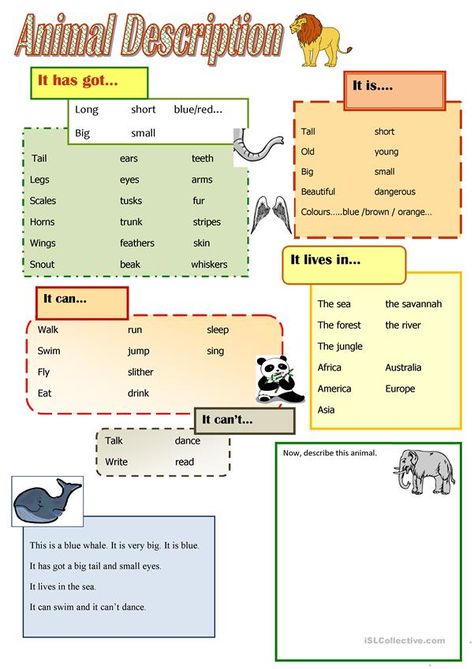 Describing Animals Worksheets, Speaking Activities Esl, Teaching Worksheets, Animal Activities For Kids, Animal Worksheets, English Exercises, Teaching English Grammar, Reading Help, Grammar Practice