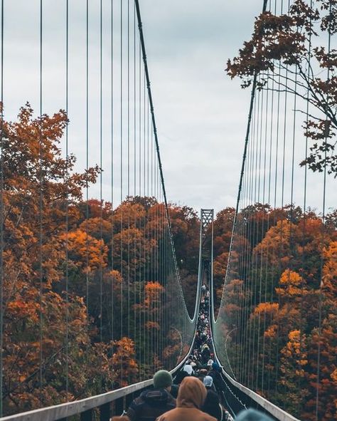 Pure Michigan on Instagram: "Bridging the gap on a new perspective. Over the river and through the woods. 📸: @kaushik0805 #PureMichigan #FallFilter #BoyneMountain #SkyBridge #SkyBridgeMichigan #FallLeaves" Michigan Sky Bridge, Sky Bridge Michigan, Sky Bridge, Virtual Travel, Over The River, Pure Michigan, New Perspective, Brooklyn Bridge, The Gap