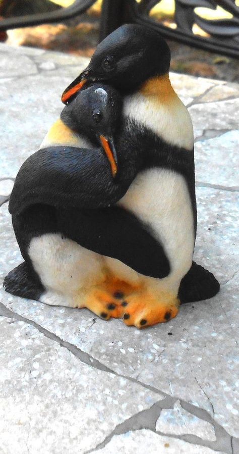 Penguins Hugging, 2 Penguins, Penguin Hug, Penguins And Polar Bears, The Penguins, Penguin Love, Nursing Homes, Baby Penguins