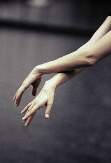 tanz . Ballet Hands, Hands Reaching Out, Isadora Duncan, Ballet Technique, Ballet Poses, Ballet Inspiration, Ballet Photos, Dance Movement, Ballet Photography