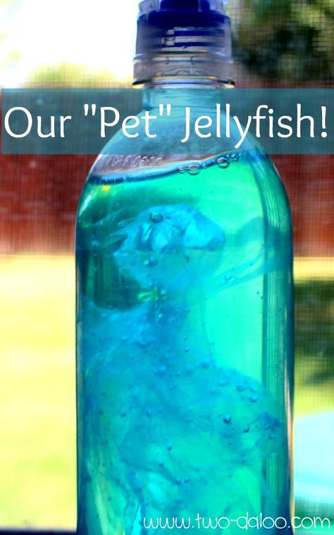 Pet Jellyfish, Sensory Play Toddlers, Preschool Ocean, Ocean Theme Preschool, Ocean Classroom, Ocean Theme Classroom, Ocean Unit, Ocean Activities, Sensory Bottles