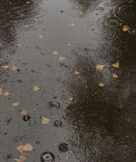 Rainy Weather Aesthetic, Romanticize My Life, Autumn Moodboard, Aesthetic Shots, Weather Aesthetic, Current Aesthetic, Auto Rickshaw, Dress Kurti, Rainy Street