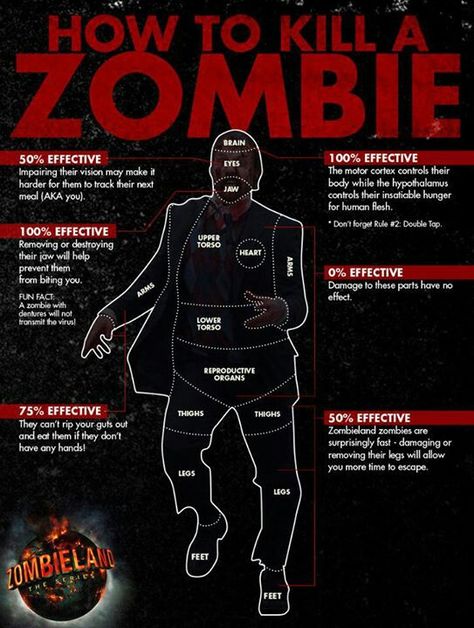 Zombie Apocalypse Tips, Zombies Apocalypse Survival, Zombie Plan, Zombie Apocalypse Party, Zombie Survival Guide, Zombie Brains, Makeup Zombie, Zombie Apocolypse, Walking Dead Zombies