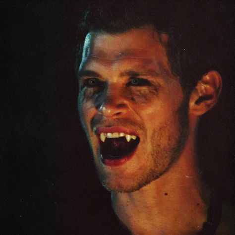 "Damn who's a sexy wolf?" Klaus. The Vampire Diaries. <3 Klaus Mikaelson, The Vampire Diaries, The Vampire, Vampire Diaries, We Heart It, Lost, Twitter, Pins