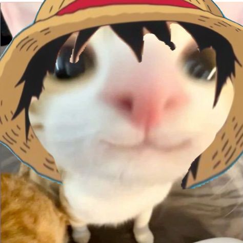 Luffy Cute Pfp, One Piece Username Ideas, One Piece Funny Pfp, One Piece Header Twitter, One Piece Emoji, One Piece Christmas Pfp, Luffy Doodle, Luffy Manga Icon, One Piece Pfps