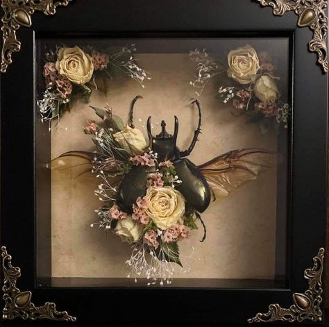 Entomology Decor, Animal Skull Decor, Moody Home Decor, Oddities Decor, Entomology Art, Taxidermy Decor, Taxidermy Display, Insect Taxidermy, Taxidermy Art