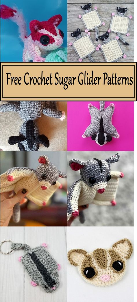 Crochet Sugar Glider Patterns Crochet Sugar Glider, Prominent Eyes, Sock Loom, Sugar Glider Toys, Tiny Nose, Sugar Gliders, Crochet Animals Free Patterns, Crochet Amigurumi Free, Handmade Plush