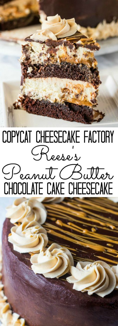 Chocolate Cake Cheesecake, Peanut Butter Chocolate Cake, Butter Chocolate Cake, Copycat Cheesecake Factory, Reeses Cheesecake, Cheesecake Caramel, Cheesecake Factory Recipes, Cheesecake Oreo, Coconut Dessert