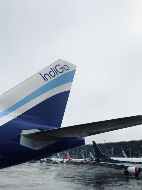 Indigo Flight Aesthetic, Indigo Airlines Aesthetic, Indigo Cabin Crew Aesthetic, Indigo Flight, Indigo Airlines, Airline Cabin Crew, Airplane Drawing, Airport Pictures, Catch Flights