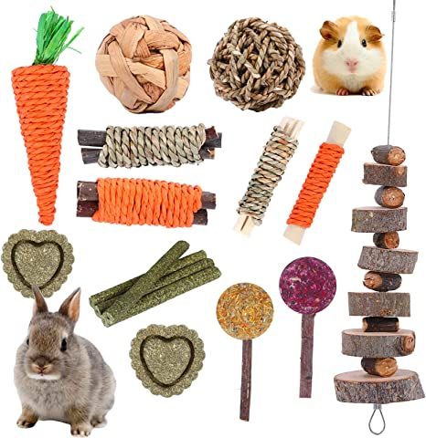 Rabbit Chew Toys, Bunny Supplies, Chinchilla Toys, Cage Hamster, Rabbit Treats, Pig Toys, Guinea Pig (toy), Rat Toys, Hamster Toys